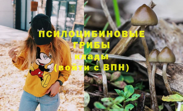 мет Абаза