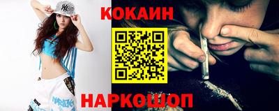 стафф Гай