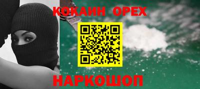стафф Гай