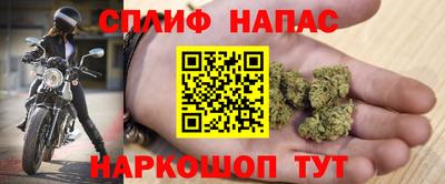 винт Гатчина