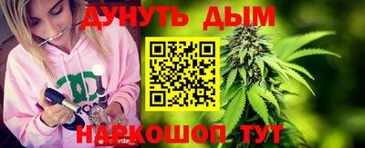 стафф Гай