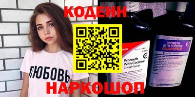 стафф Гай